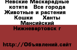 Невские Маскарадные котята - Все города Животные и растения » Кошки   . Ханты-Мансийский,Нижневартовск г.